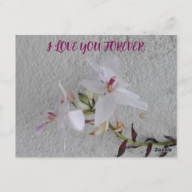 CARTE POSTALE CADEAU DE FLEURS JOURNALIÈRE FILLE (Dos)