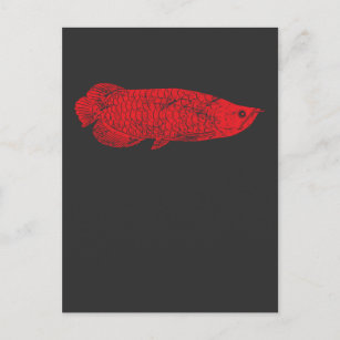 Carte Postale Cadeau de poisson - Poisson rouge Arowana pour les