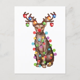 Carte Postale Cadeau drôle de vacances de Noël pour amateur de c