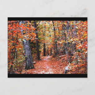 Carte Postale Cadeaux aquarelle Sentier de la forêt peinte autom