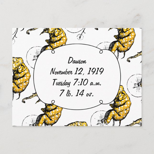 Carte Postale Cadeaux Circus Elephant (Devant)