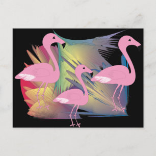 Carte Postale Cadeaux de Flamants roses tropicaux