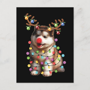 Carte Postale Cadeaux de Noël de chien de Malamute d'Alaska mign