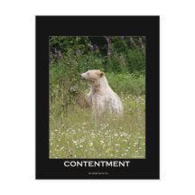 Cadeaux d'ours d'esprit