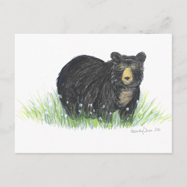Carte Postale cadeaux d'ours noir (Devant)