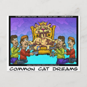 Carte Postale Cadeaux drôles de rêves de chats communs T-shirts