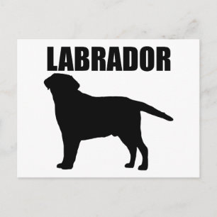 Carte Postale Cadeaux du Labrador !