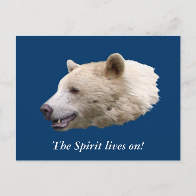 Carte Postale Cadeaux "Ours Esprit" (Devant)