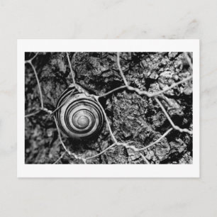 Carte Postale cadence filaire