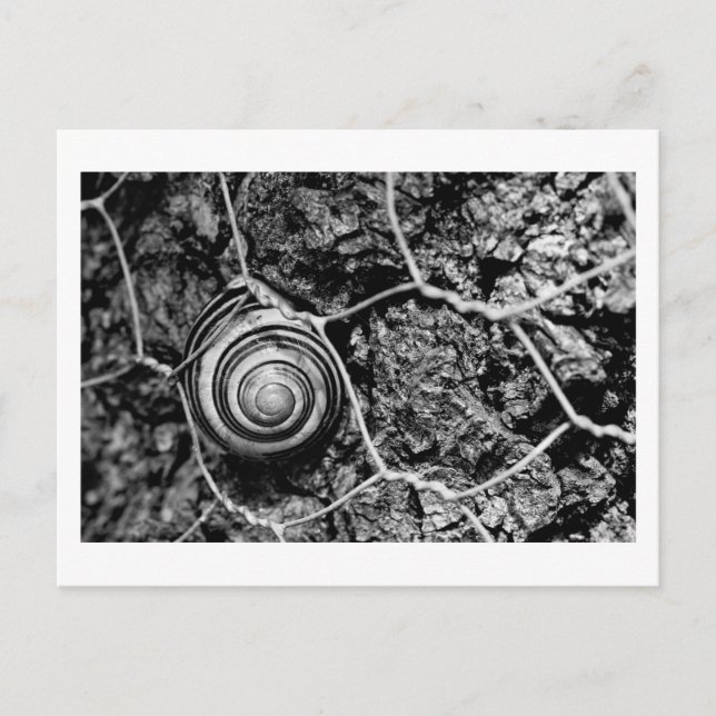Carte Postale cadence filaire (Devant)