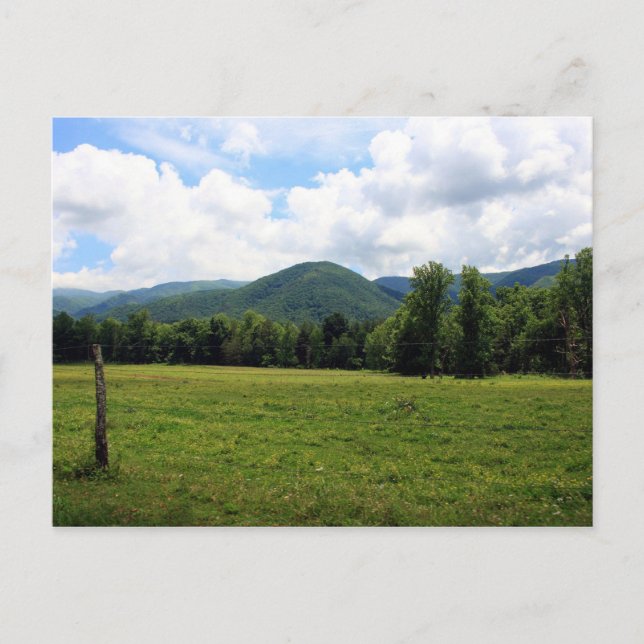 Carte Postale Cade's Cove (Devant)