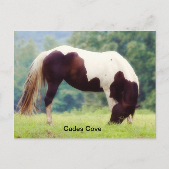 Carte postale Cades Cove (Devant)