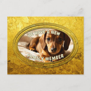 Carte Postale Cadre doré - Forme ovale 9 dachshund