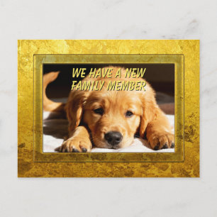 Carte Postale Cadre Doré - Forme Rectangle 8 Chien Retriever Dor