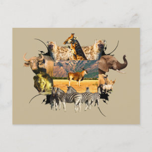 Carte Postale Cadre faunique africain Eland Mountain