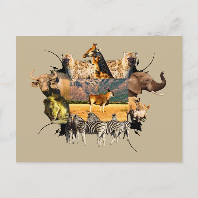 Carte Postale Cadre faunique africain Eland Mountain (Devant)