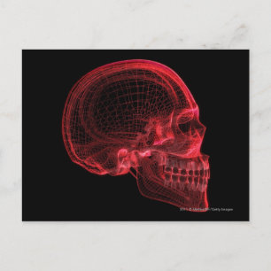 Carte Postale Cadre filaire rouge d'un crâne