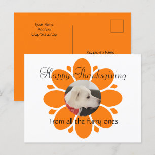 Carte Postale Cadre maman Fleur Orange mignon pour animal de com