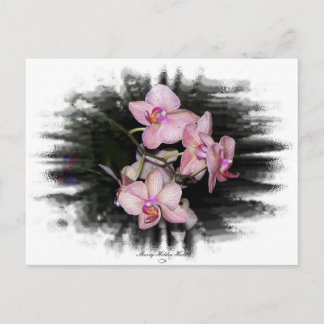 Carte Postale Cadre orchidée 1