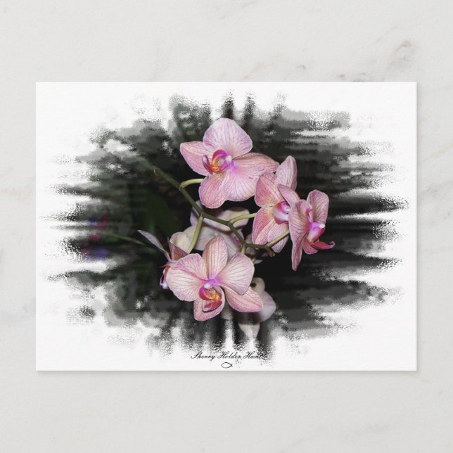 Carte Postale Cadre orchidée 1 (Devant)