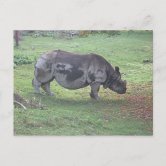 CARTE POSTALE CAE5ULC1