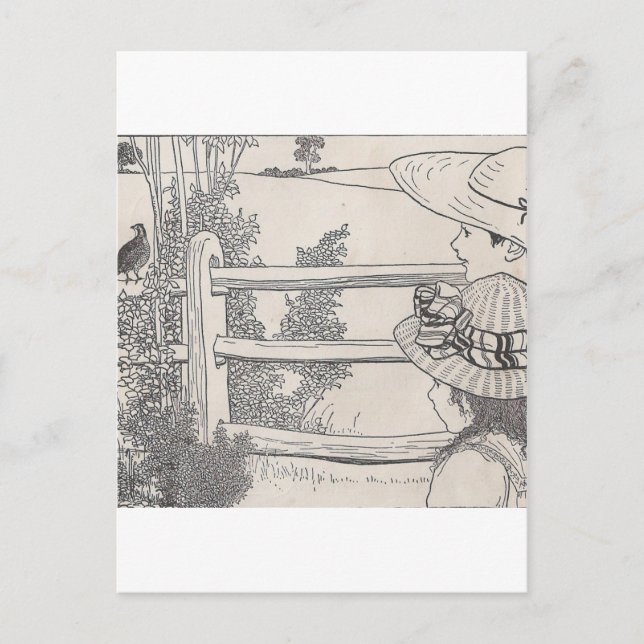 Carte Postale Caille sur un rail (Devant)