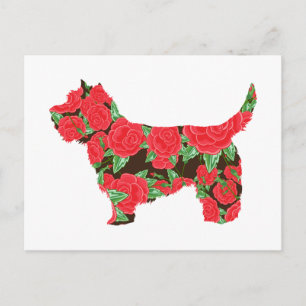 Carte Postale Cairn Terrier