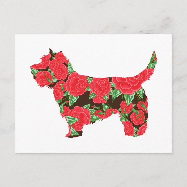 Carte Postale Cairn Terrier (Devant)