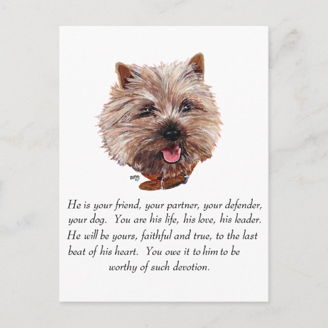 Carte Postale Cairn Terrier de Souvenir - Mâle (Devant)