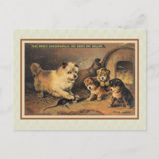 Carte Postale Cairn Terrier Dog et ses chiots