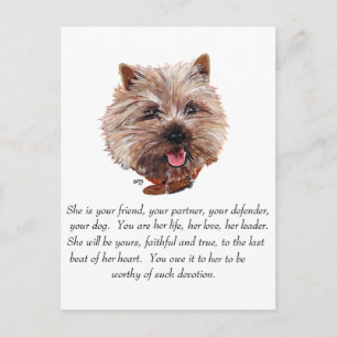 Carte Postale Cairn Terrier Keepsaké - FEMELLE