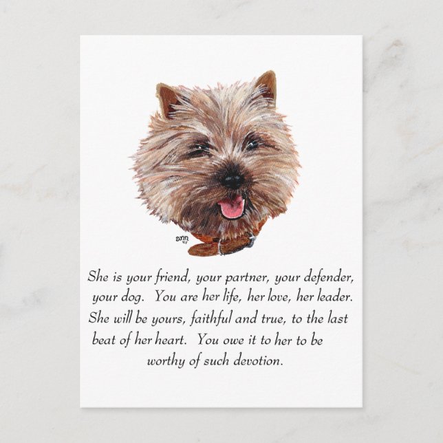 Carte Postale Cairn Terrier Objet-souvenir - FEMELLE (Devant)