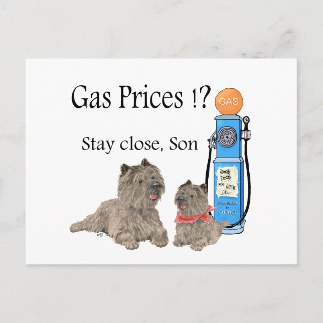 Carte Postale Cairn Terriers Prix de l'essence ?!! (Devant)