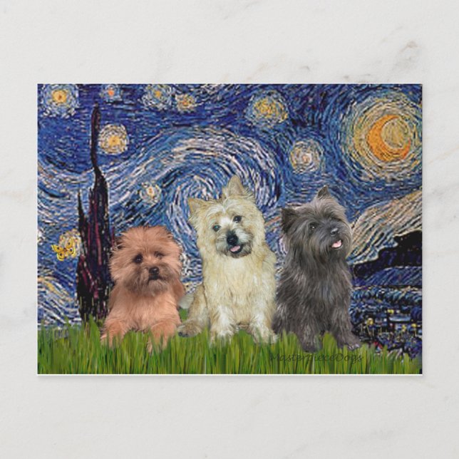 Carte Postale Cairn Terriers (trois) - Nuit étoilée (Devant)