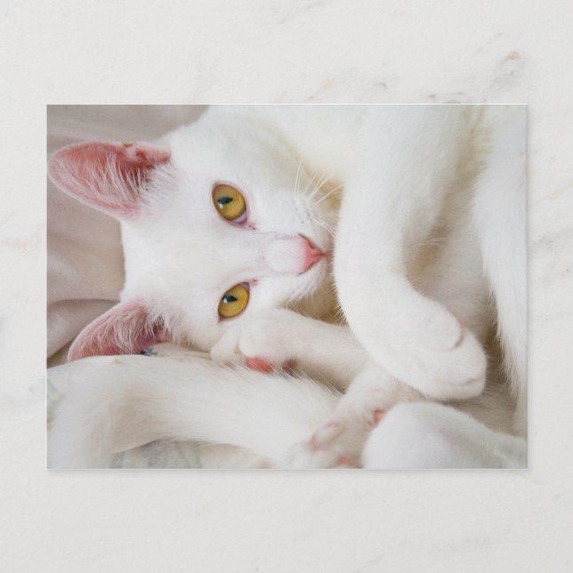 carte postale caisson (Devant)