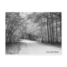 Carte postale Cajun Dirt Road
