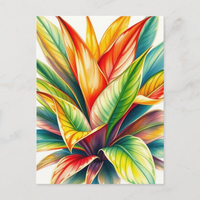 Carte Postale Calathea Prayer  Aquarelle (Devant)