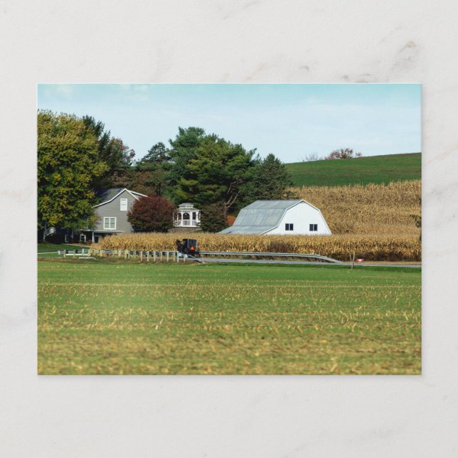 Carte Postale Calèche amish, comté de Holmes, Ohio (Devant)