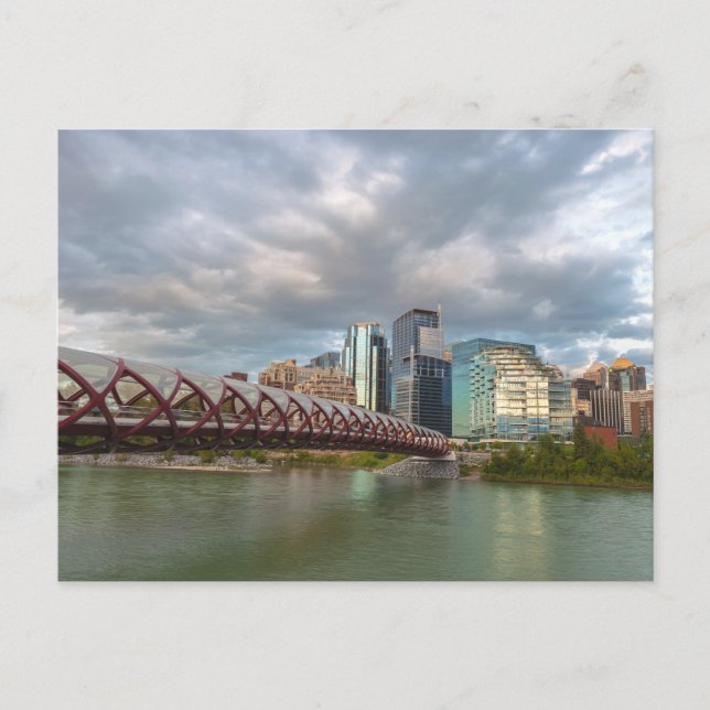 Carte Postale Calgary Cityscape and the Peace Bridge (Devant)