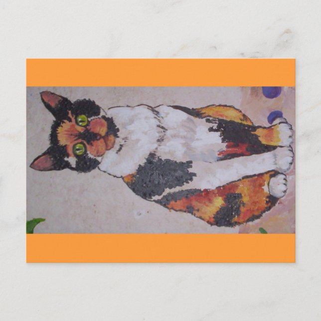 Carte Postale calico (Devant)