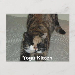 Carte Postale Calico