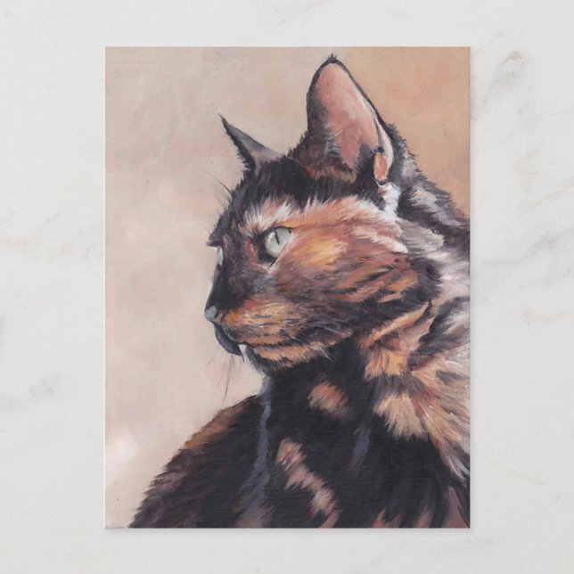 Carte postale Calico American Shorthair Cat (Devant)