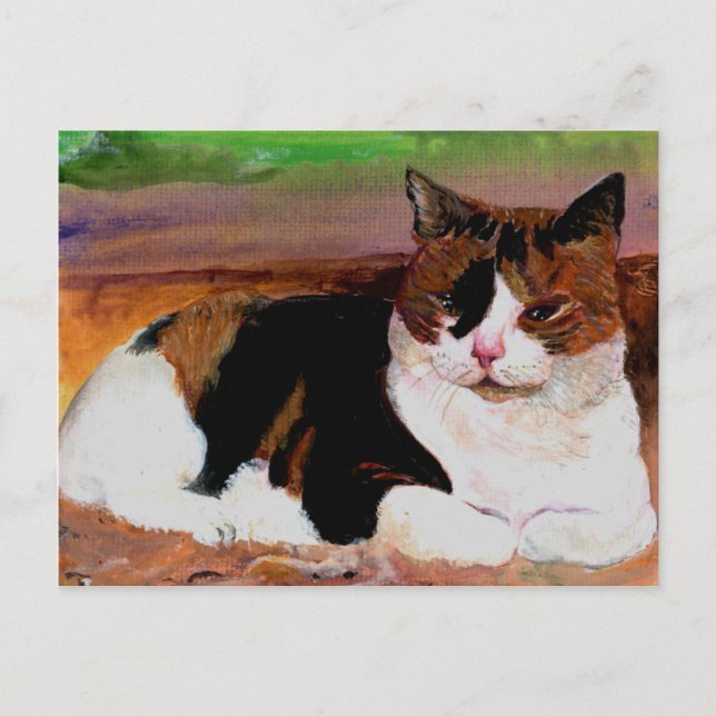 Carte Postale Calico Cat (Devant)