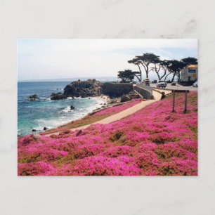 Carte Postale Calif Pacific Grove-Monterey