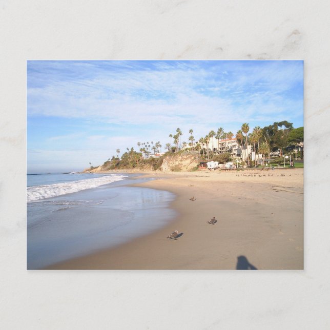 Carte postale California Beach (Devant)
