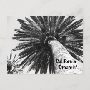 Carte postale California Dreamin