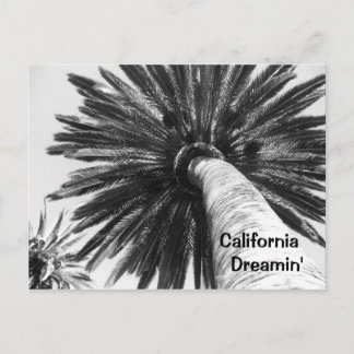 Carte postale California Dreamin