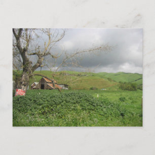 Carte postale California - Gilroy, Californie