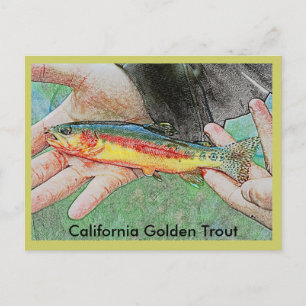 Carte postale California Golden Trout