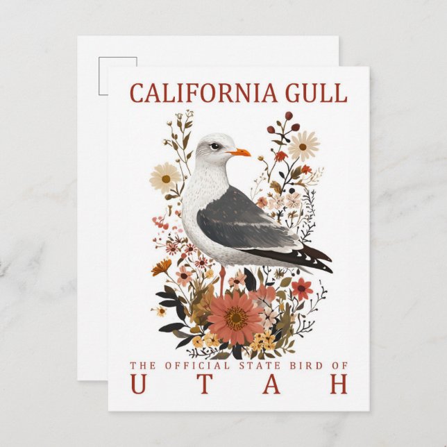 Carte Postale California Gull Bird of Utah Travel (Devant / Derrière)